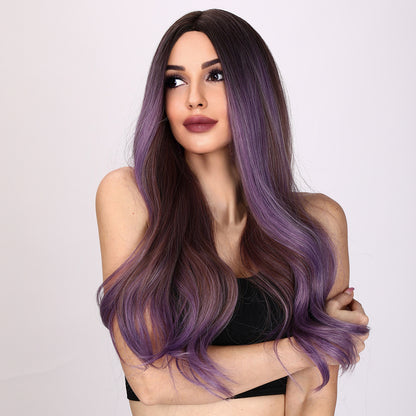 Oakley | Purple  and Brown Mixed Wig | Loose Wave Wig | 26 inch Wig | SM8039 | Apn VIPS