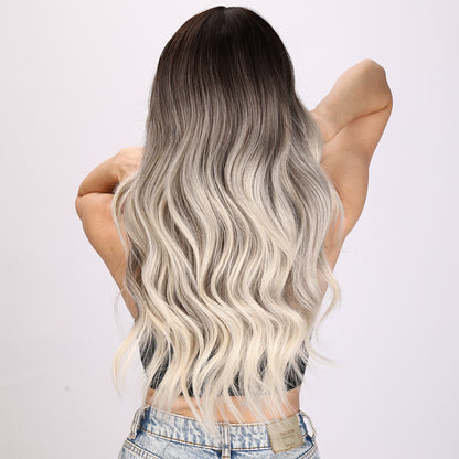 Natalia | Gray and Ombre Wig | Loose Wave Wig | 26 inch Wig | SM8066 | Apn VIPS