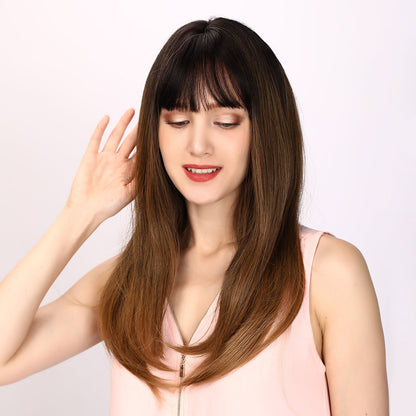 Sawyer | Brown and Ombre Wig | Straight Hair Wig | 26 inch Wig | SM5067 | Apn Faith