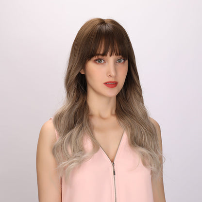 Callie | Gray and Brown Gradient Wig | Loose Wave Wig | 22 inch Wig | SM303-1 | Apn Popinrow