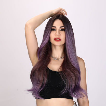 Oakley | Purple  and Brown Mixed Wig | Loose Wave Wig | 26 inch Wig | SM8039 | Apn Popinrow