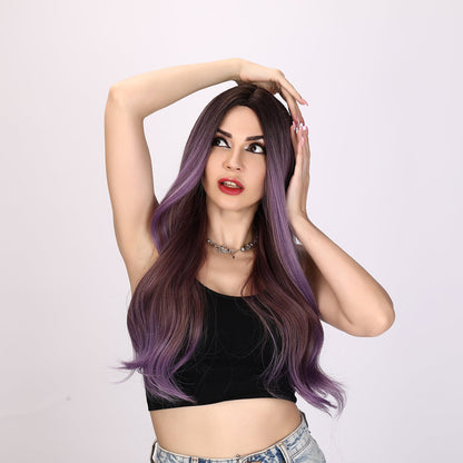 Oakley | Purple  and Brown Mixed Wig | Loose Wave Wig | 26 inch Wig | SM8039 | Apn Popinrow