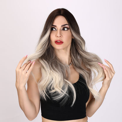 Natalia | Gray and Ombre Wig | Loose Wave Wig | 26 inch Wig | SM8066 | Apn Popinrow