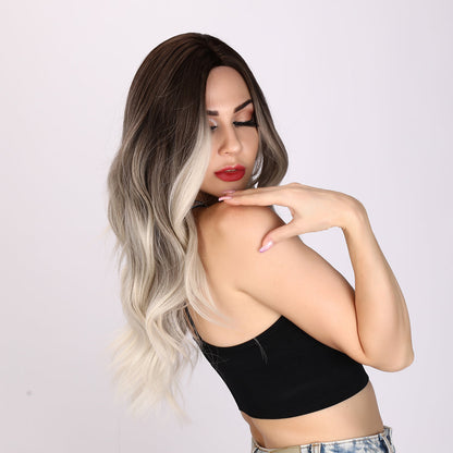 Natalia | Gray and Ombre Wig | Loose Wave Wig | 26 inch Wig | SM8066 | Apn Popinrow