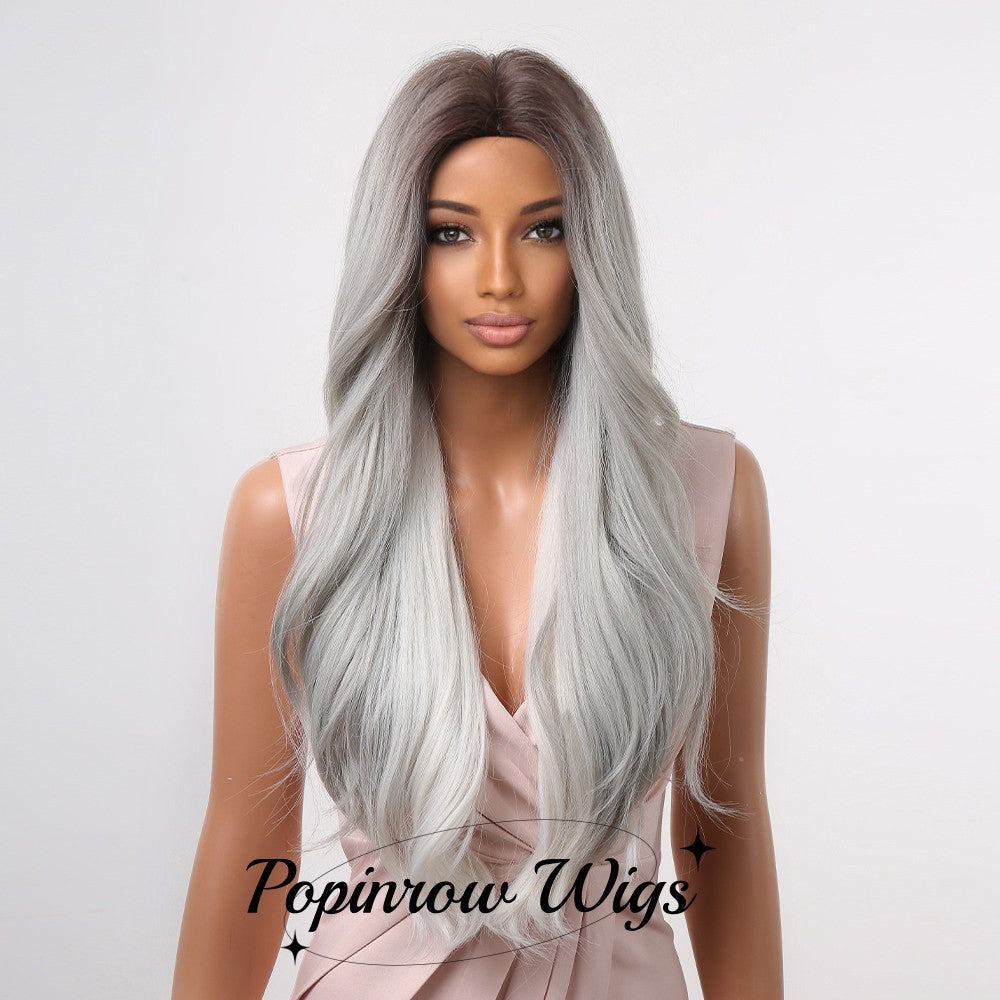 Serenity | Gray Gradient Wig | Body Wave Wig | 28 inch Wig | SM2052 | Apn Popinrow