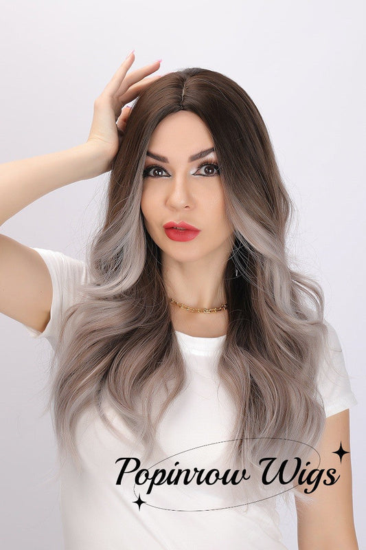 Elsie | Gray and Brown Gradient Wig | Deep Wave Wig | 24 inch Wig | SM474 | Apn Popinrow