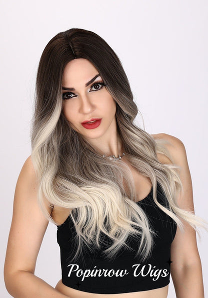 Natalia | Gray and Ombre Wig | Loose Wave Wig | 26 inch Wig | SM8066 | Apn Popinrow